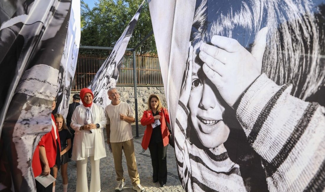 Türk Kızılay, Dünya İnsani