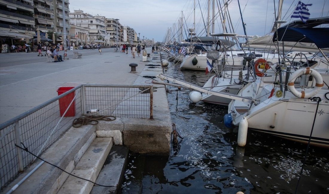 Volos'ta denizdeki balık ölümleri,