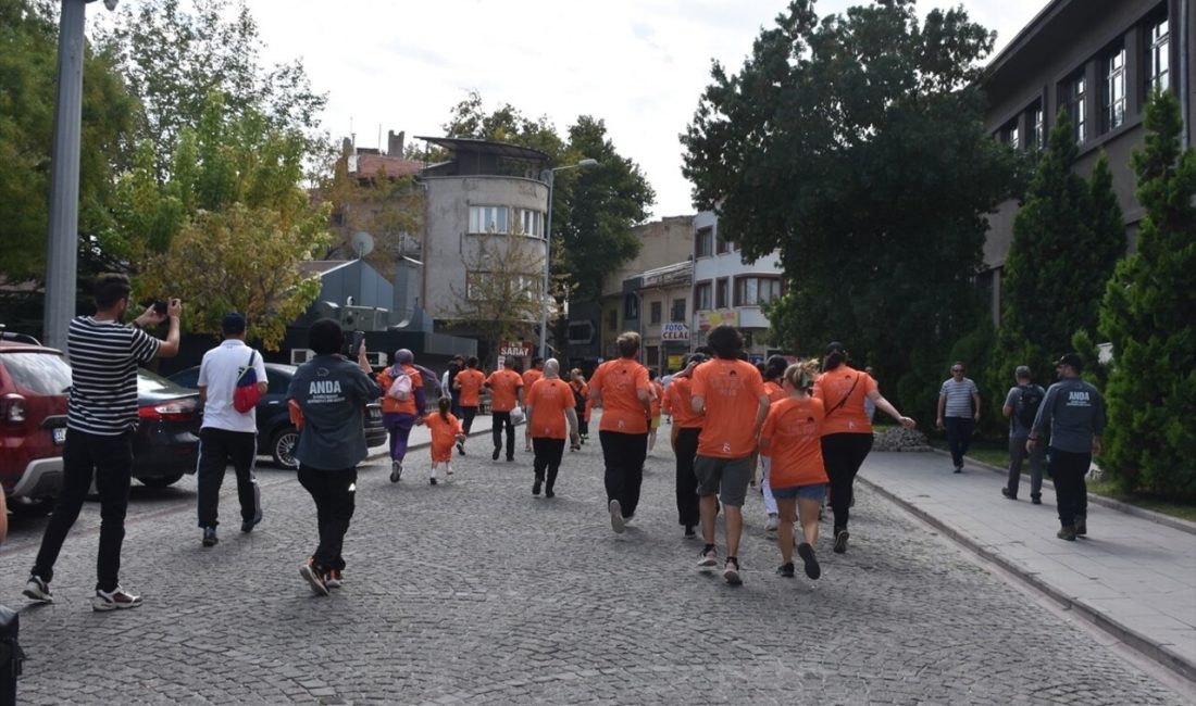 Afyonkarahisar'da düzenlenen Arnica 10.