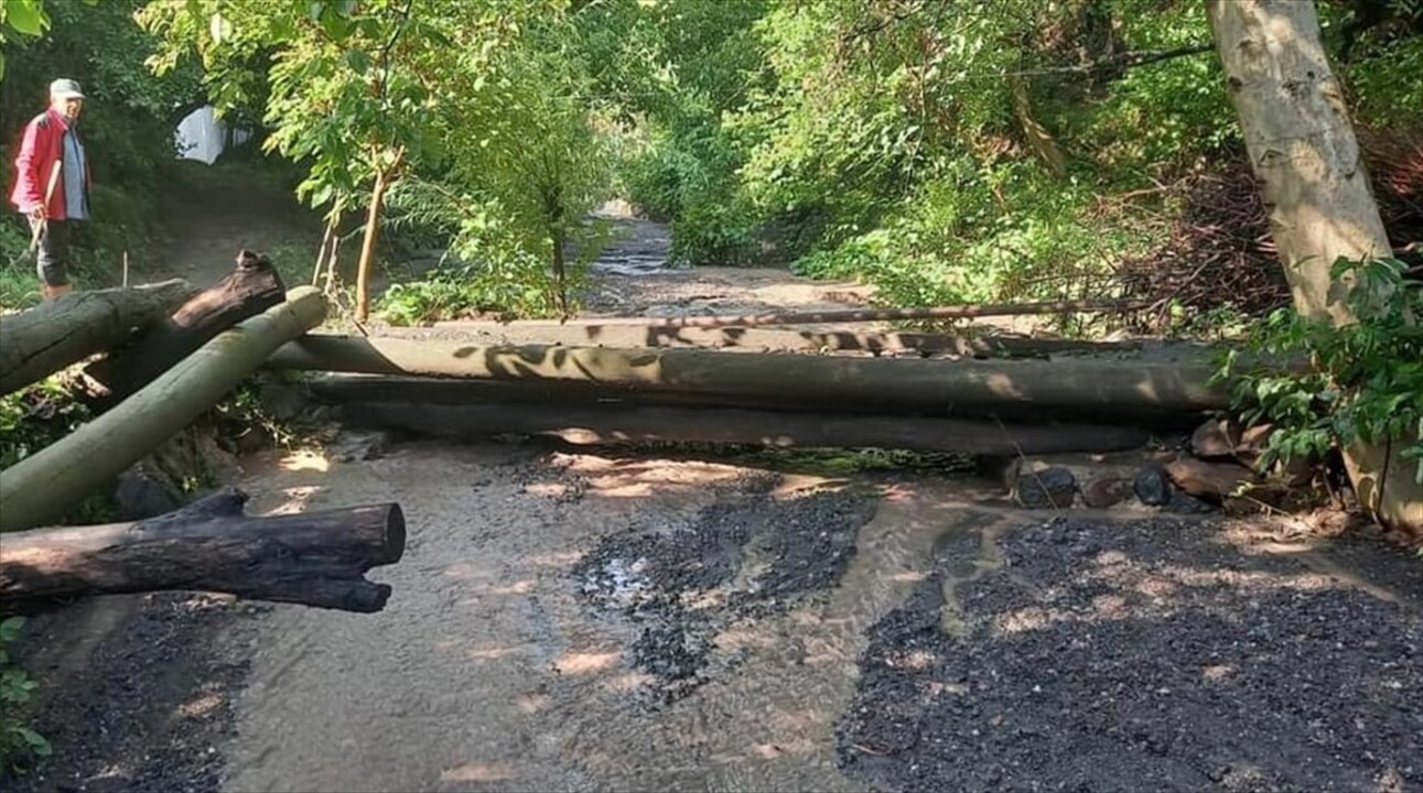 Artvin'de etkili olan sağanak Maden köyünde taşkın ve heyelanlara neden oldu, köy yolu ulaşıma...