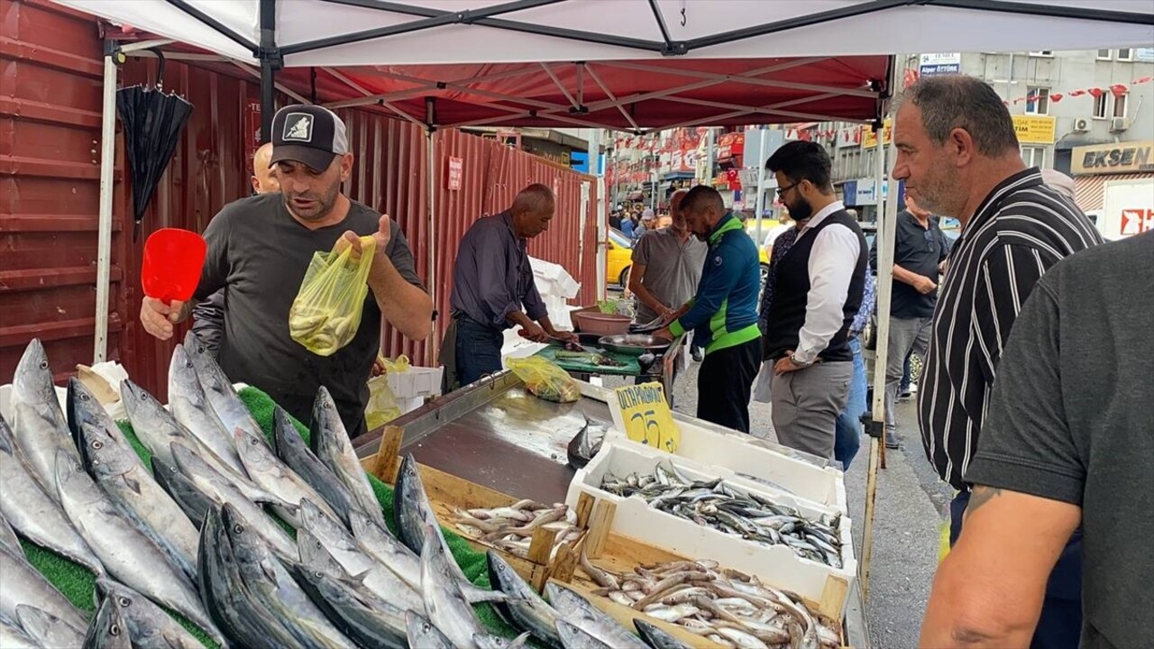 Av yasağının dün sona ermesinin ardından tezgahlardaki yerini almaya başlayan balıklara...