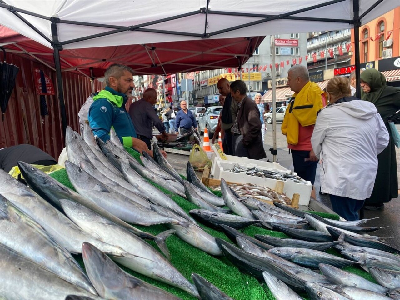 Av yasağının dün sona ermesinin ardından tezgahlardaki yerini almaya başlayan balıklara...