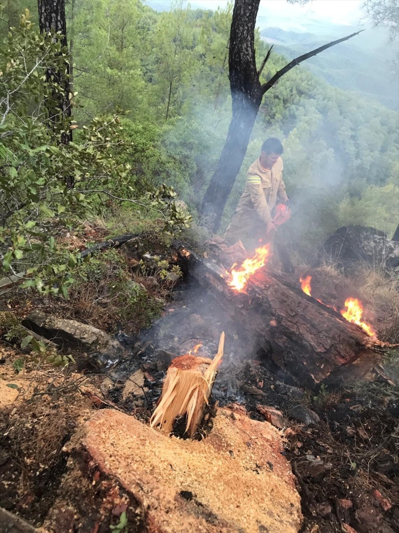 Muğla'da, yıldırım isabet eden 50 noktada çıkan orman yangınları söndürüldü.