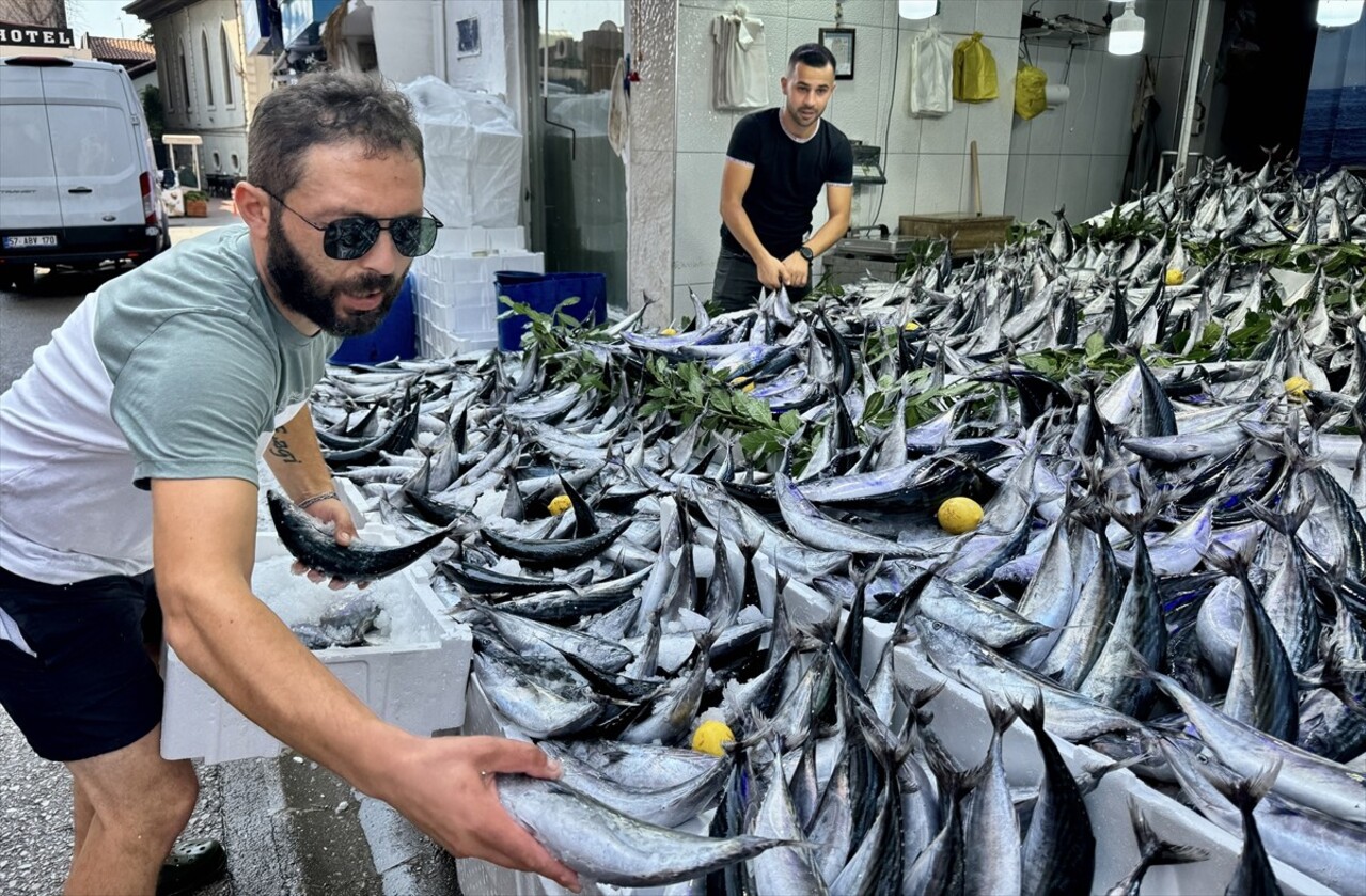 Denizlerde 1 Eylül'de başlayan balık avı sezonunun ilk günlerinde tezgahlar palamutla dolup...