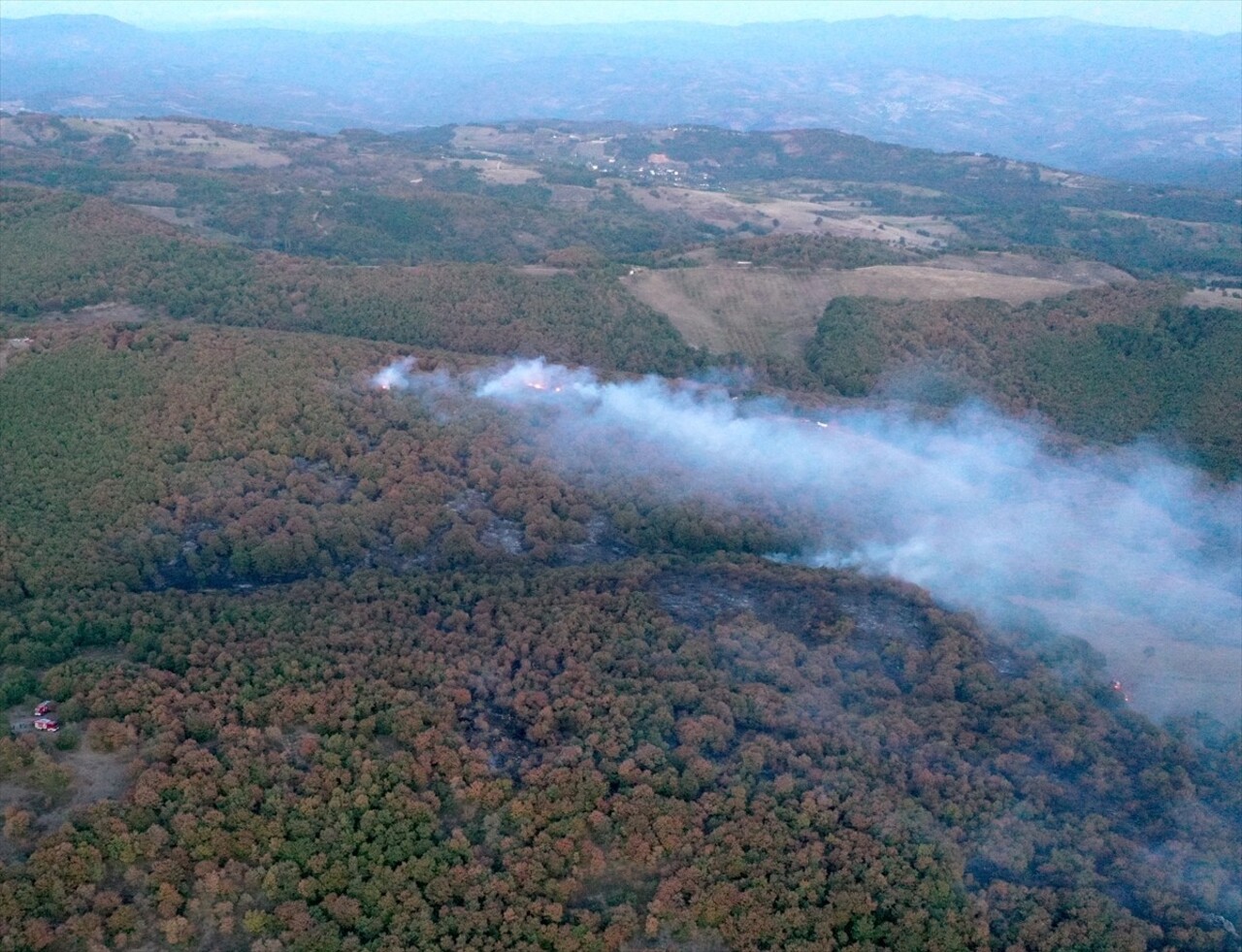 Kocaeli'nin Karamürsel ilçesinde çıkan orman yangını, ekiplerin müdahalesiyle kontrol altına...