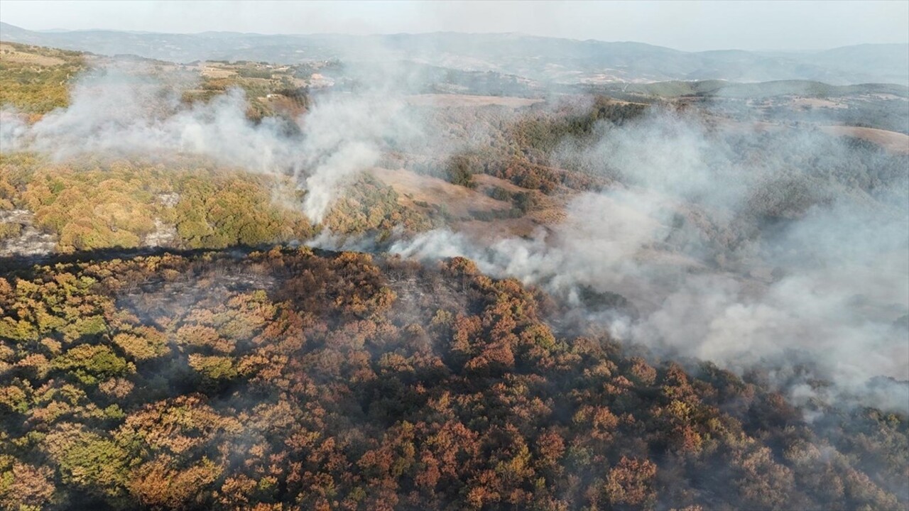 Kocaeli'nin Karamürsel ilçesinde çıkan orman yangını, ekiplerin müdahalesiyle kontrol altına...