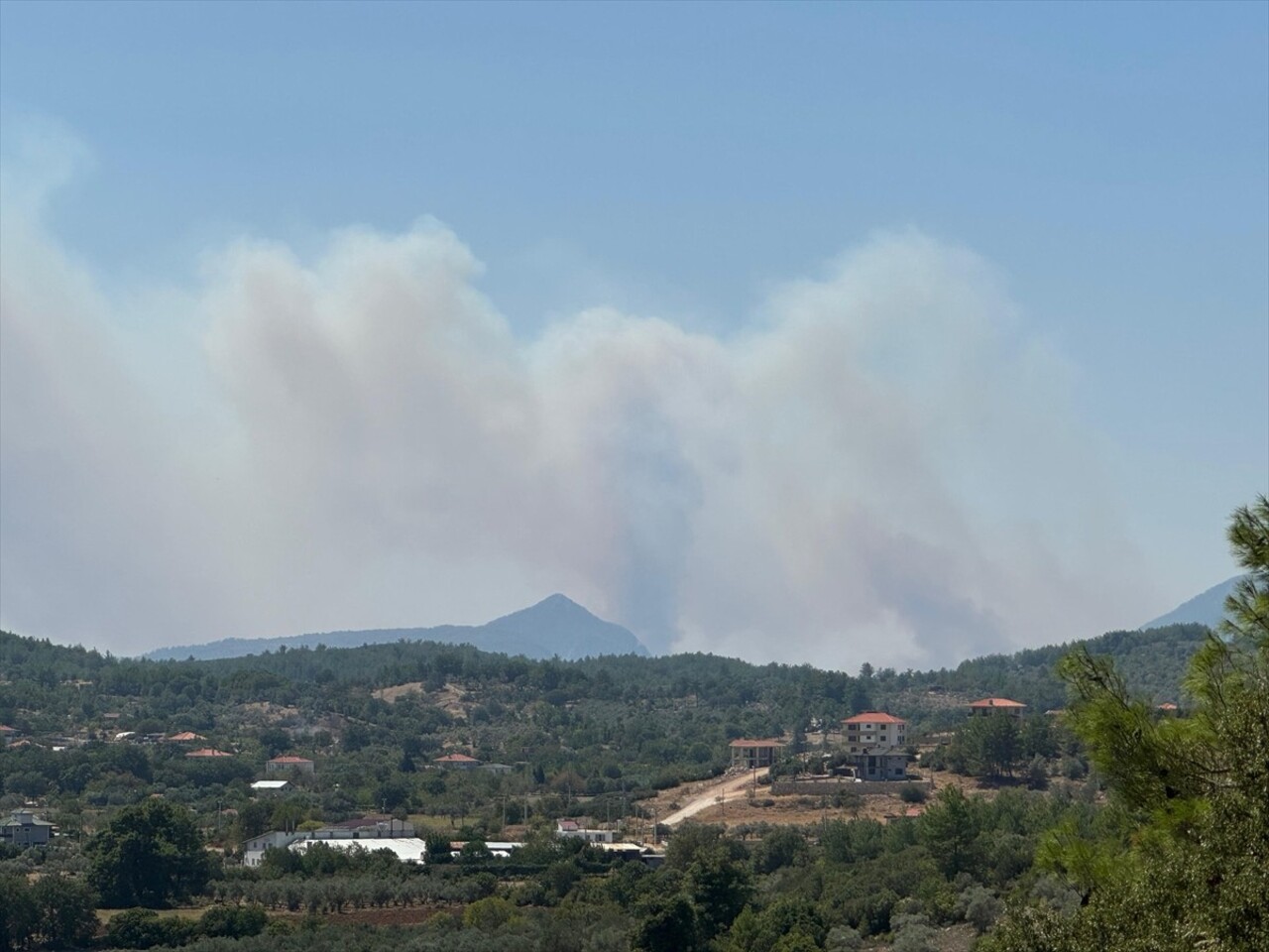 Muğla'nın Menteşe ilçesinde ormanlık alanda çıkan yangına havadan ve karadan müdahale...