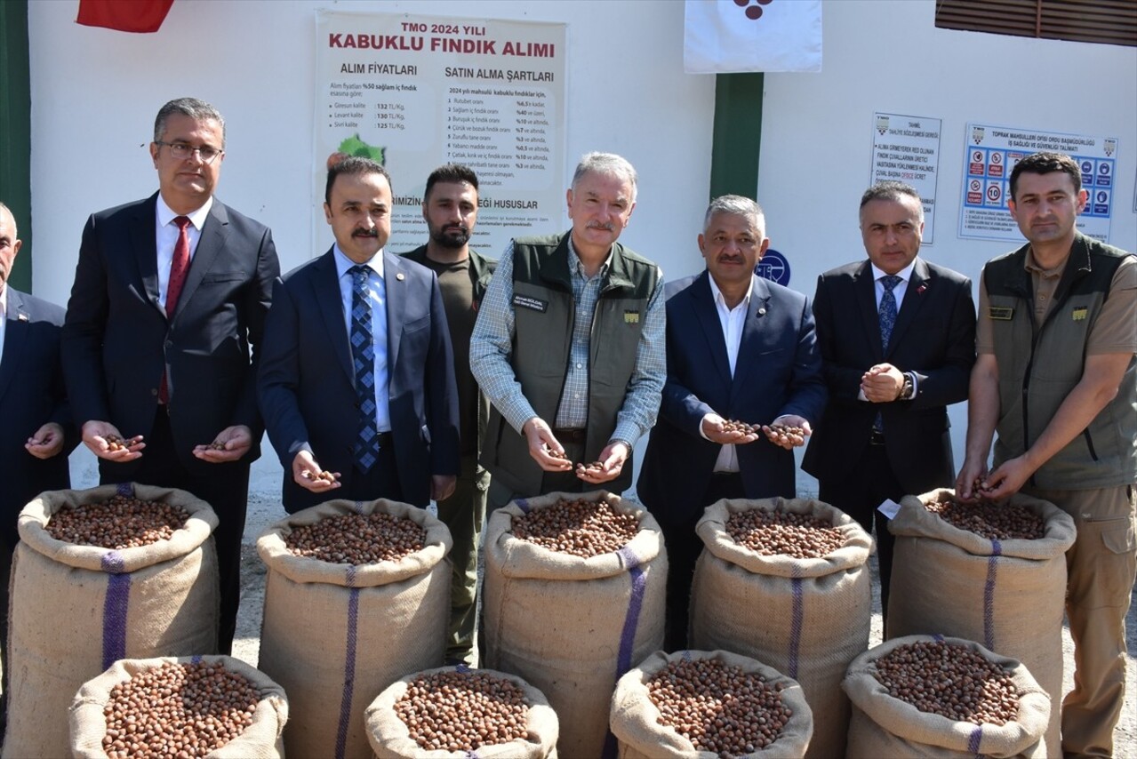 Toprak Mahsulleri Ofisi (TMO) Genel Müdürü Ahmet Güldal, Ordu'nun Gülyalı ilçesindeki fındık alım...