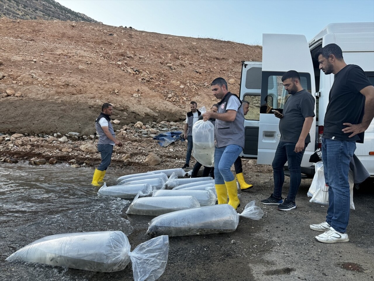 Tarım ve Orman Bakanlığının "Su Kaynaklarının Balıklandırılması Projesi" kapsamında Şanlıurfa Su...