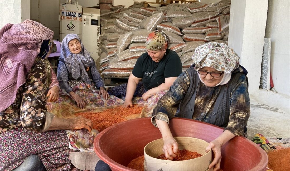 Manisa'daki üç 90 yaşındaki