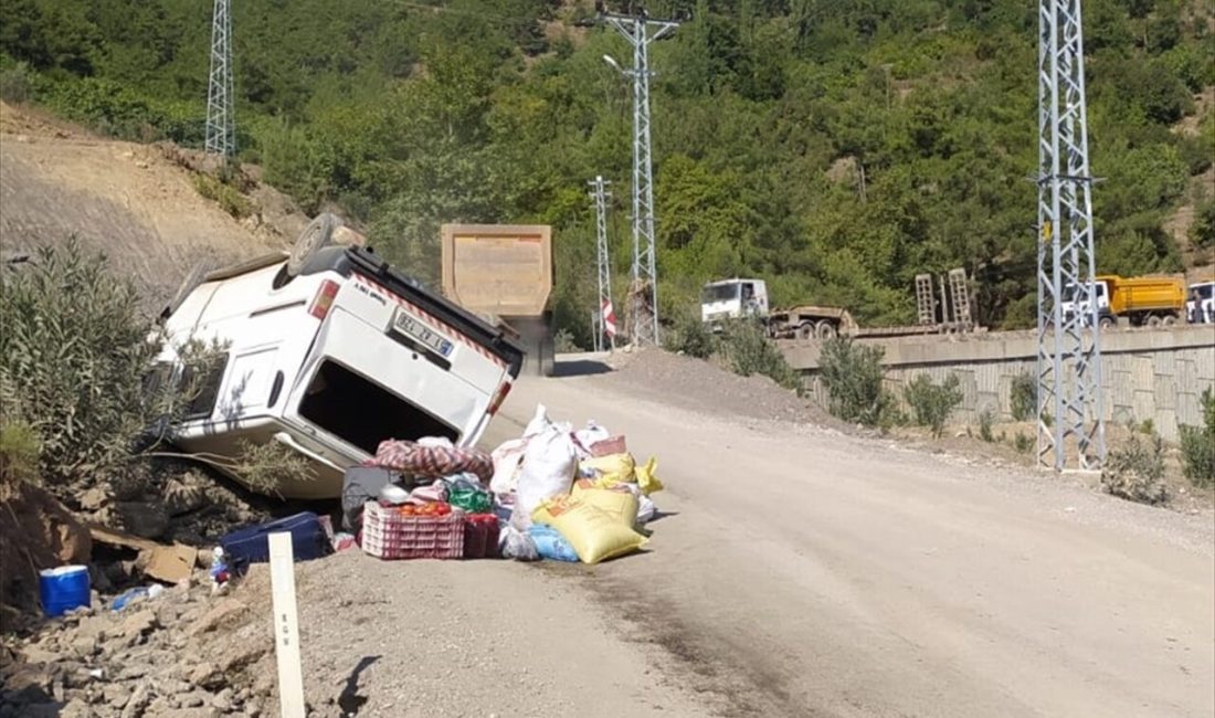 Adana'nın Kozan ilçesinde devrilen