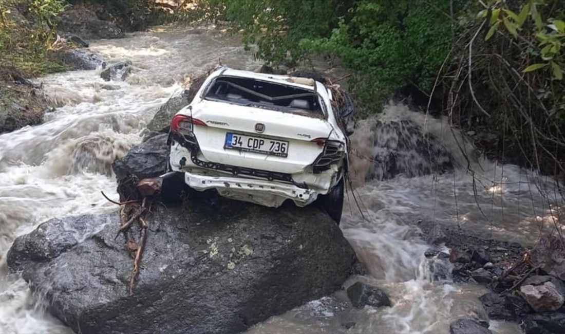 Artvin'de etkili olan sağanak