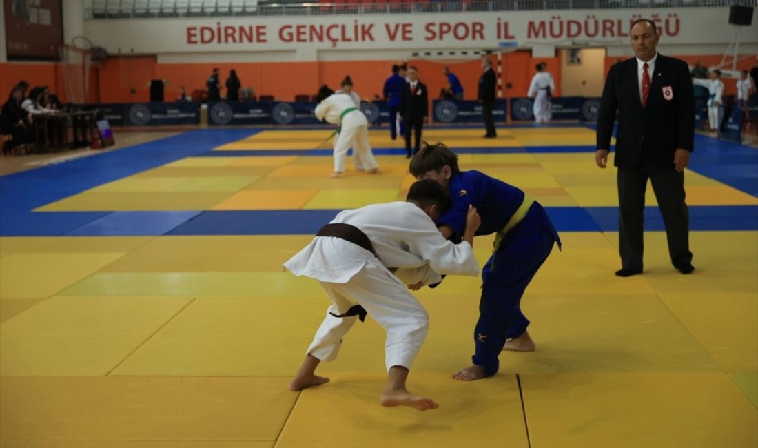 Edirne'de düzenlenen Uluslararası Judo