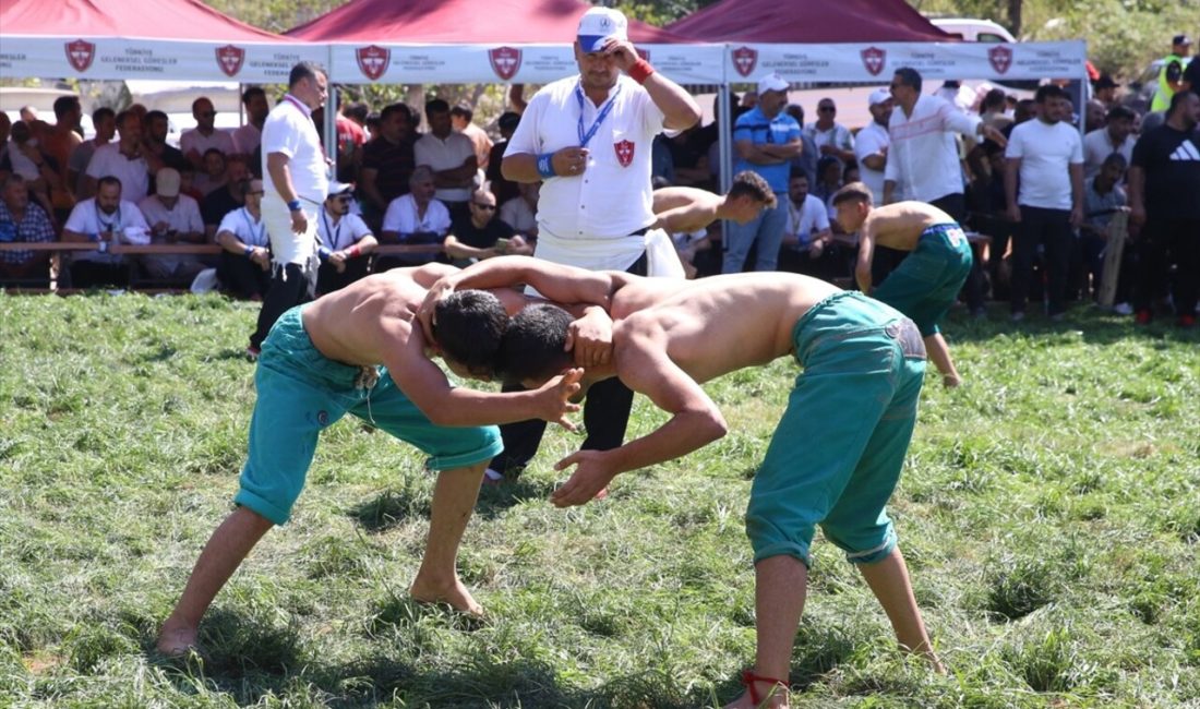 Kahramanmaraş'ta düzenlenen şampiyonada 28