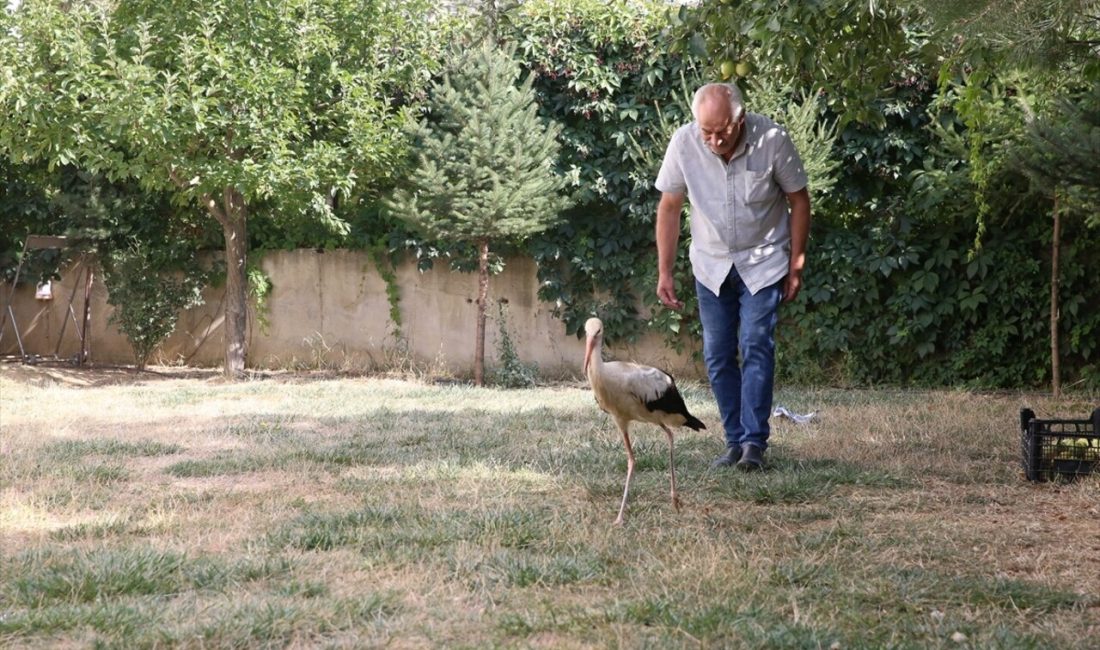 Göksun'da elektrik direğinden düşen