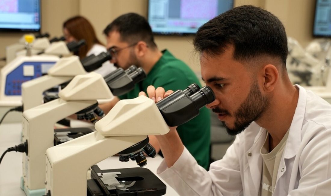 Karabük Üniversitesi, 6-7 Kasım'da