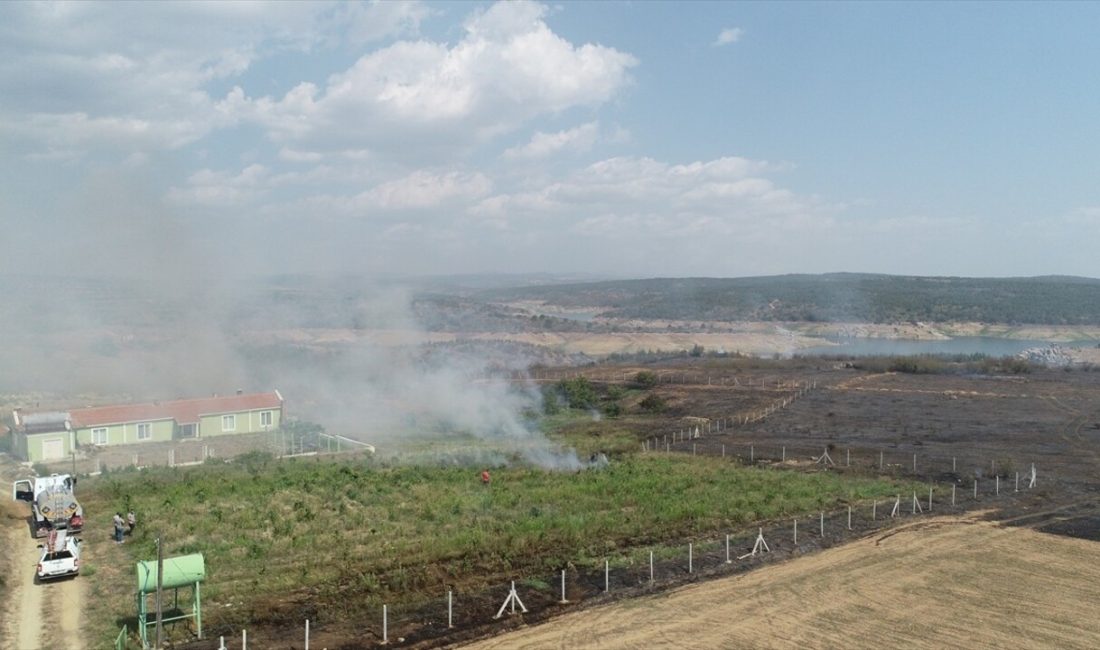 Kırklareli'nde çıkan anız yangını,