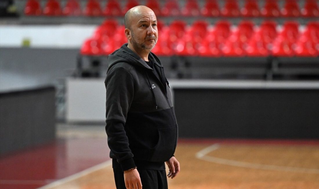 Melikgazi Kayseri Basketbol, teknik