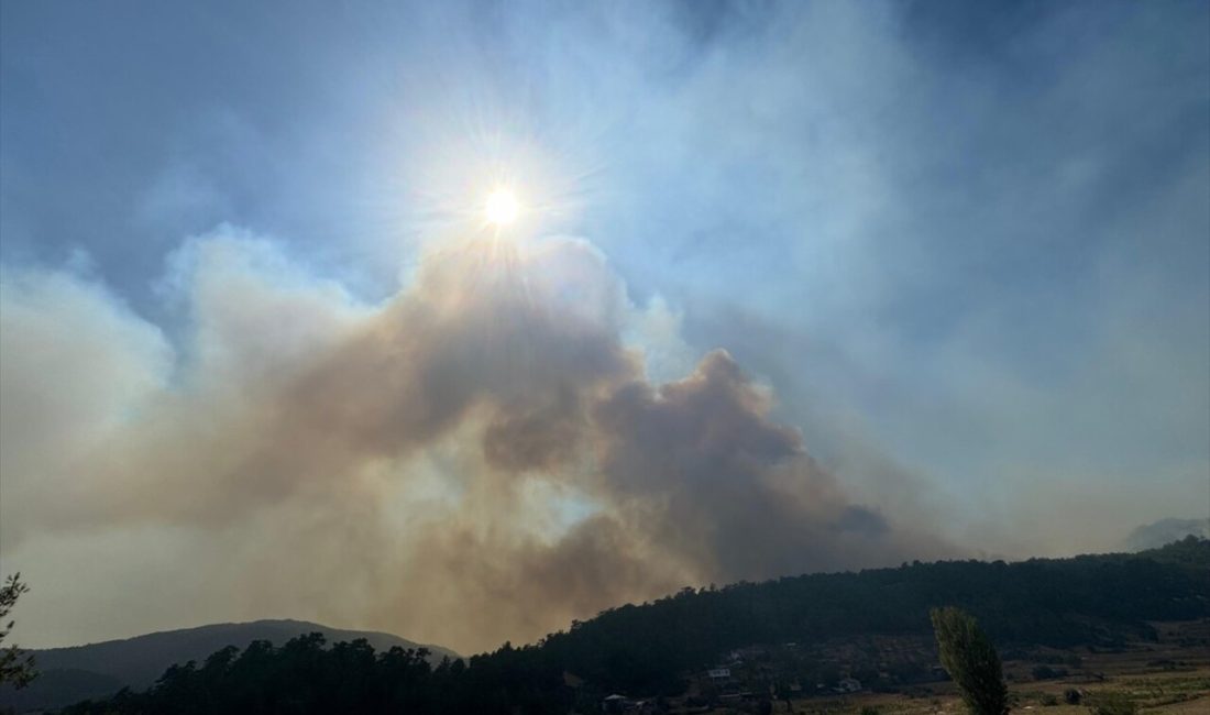 Muğla'da çıkan orman yangınına