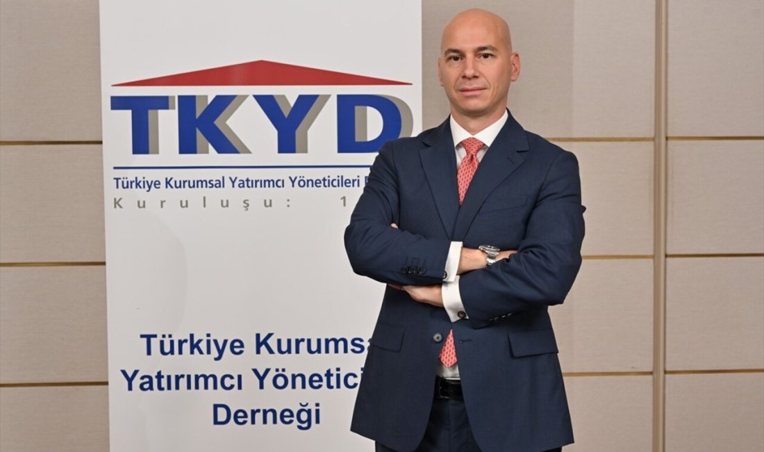 Portföy yönetimi sektörü, Türkiye'de