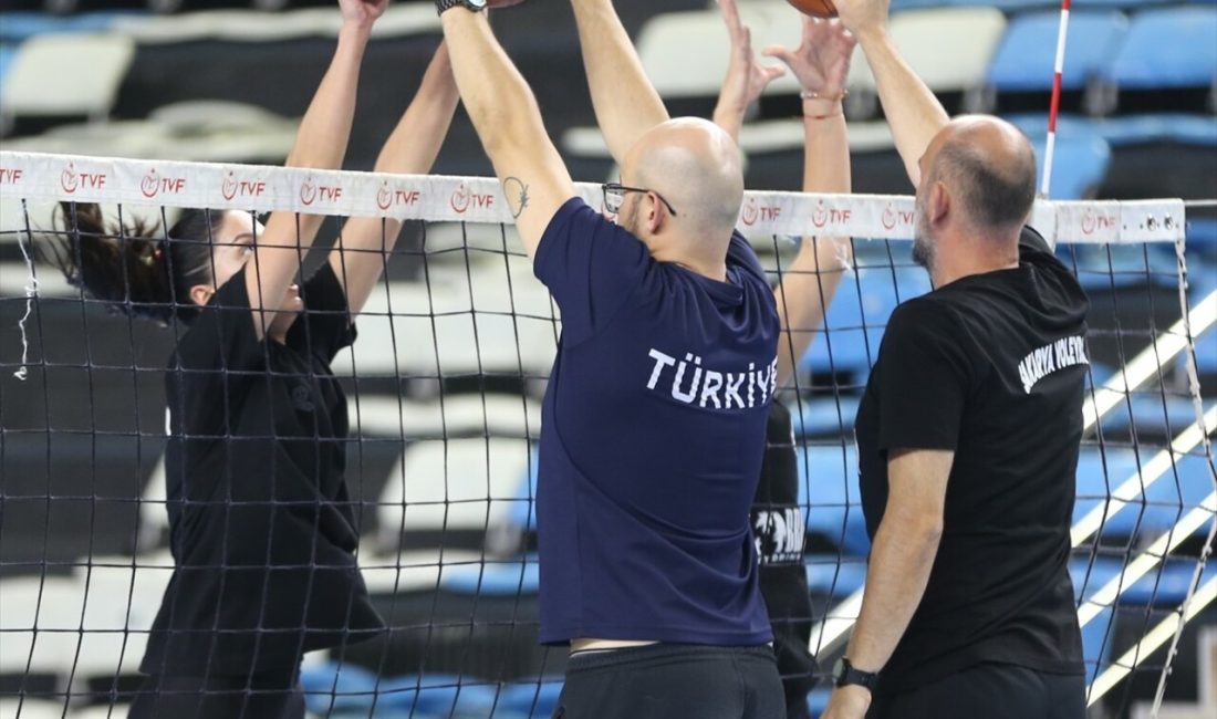 Sakarya Voleybol, Sultanlar Ligi