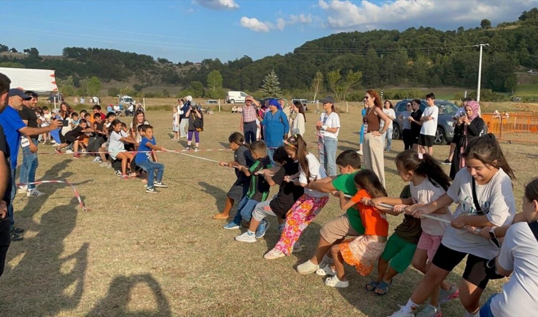 Pamukova'da gerçekleşen Çilek Festivali,