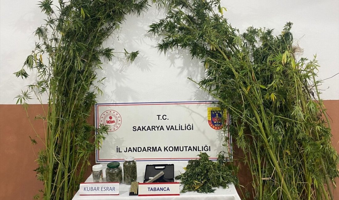 Sakarya'da düzenlenen uyuşturucu operasyonlarında