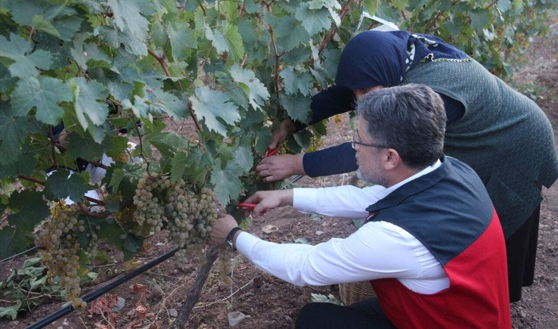 Tarım ve Orman Bakanı