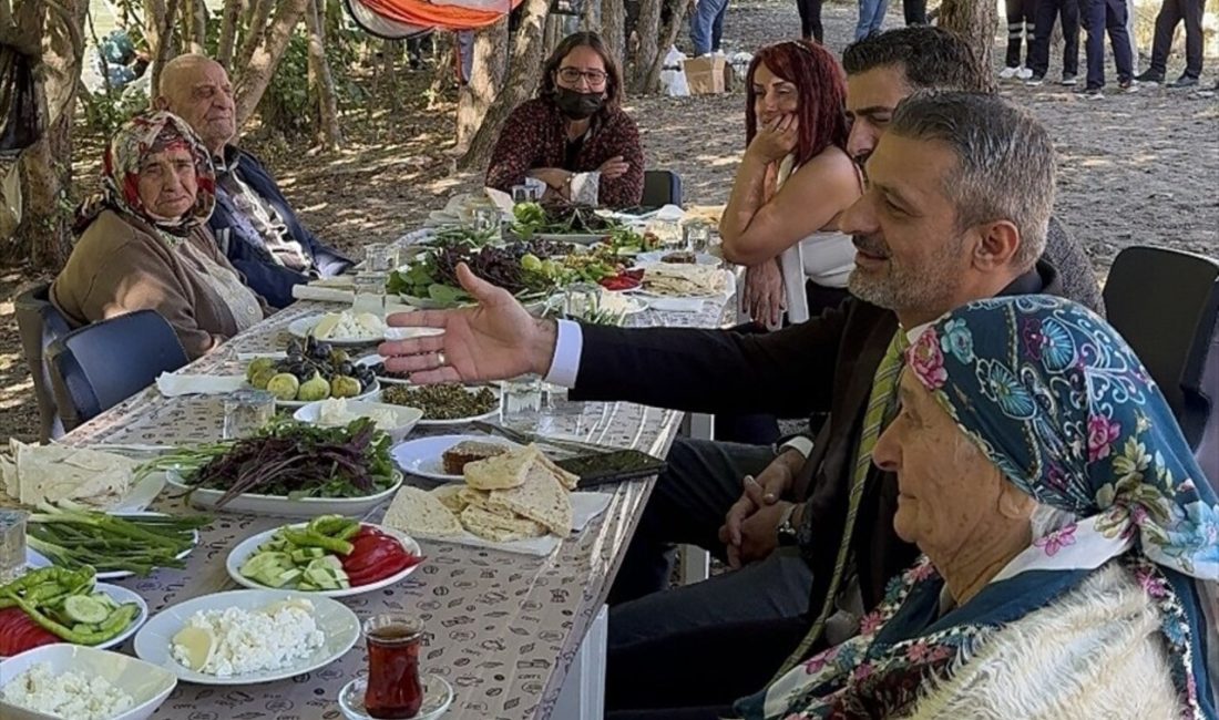 Tunceli Valiliği, yaşlıları doğayla