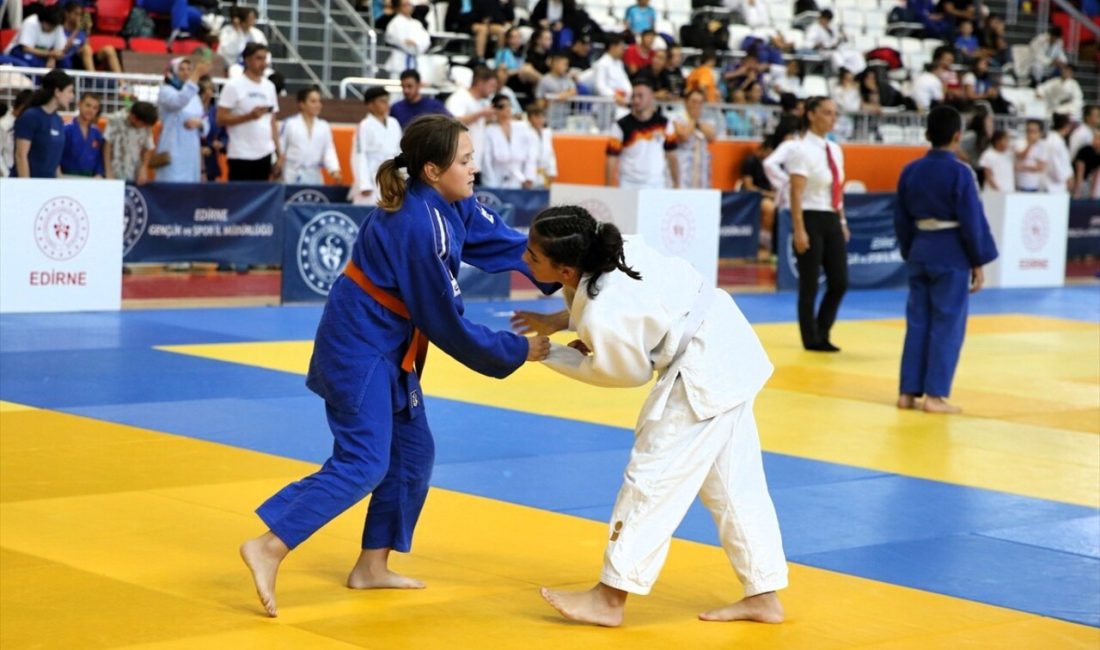 Edirne'de gerçekleşen Uluslararası Judo