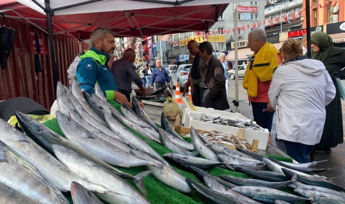 Zonguldak'ta av yasağının sona