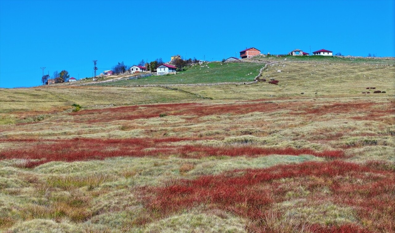 Trabzon'un Köprübaşı ilçesindeki "kesin korunacak hassas alan" olarak tescil edilen, Evliya...