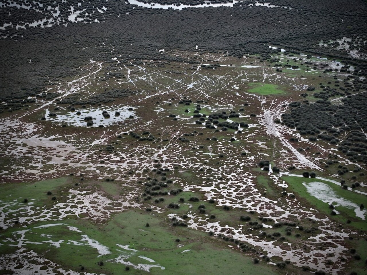 UNESCO Geçici Miras Listesi'nde yer alan ve 10 gölden oluşan Kızılırmak Deltası Kuş Cenneti, yazın...