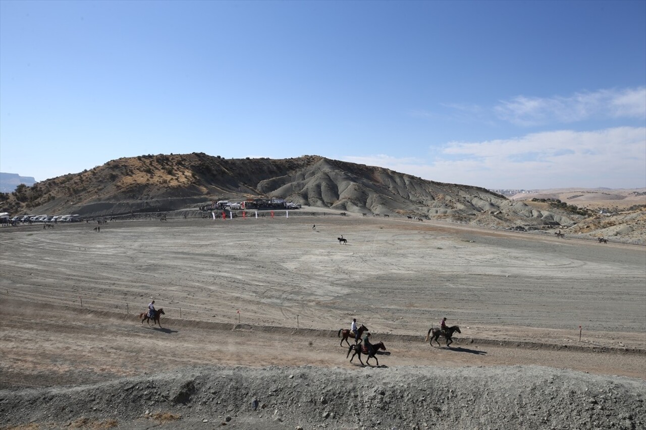 Mardin'in merkez Artuklu ilçesinde Gençlik ve Spor Bakanlığı, Valilik, Türkiye Geleneksel Atlı...