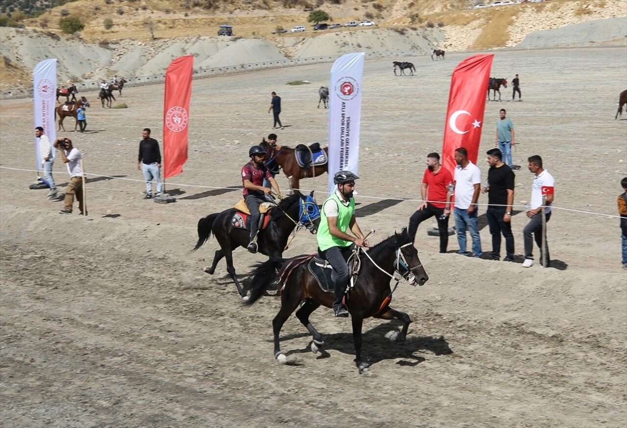 Mardin'in merkez Artuklu ilçesinde Gençlik ve Spor Bakanlığı, Valilik, Türkiye Geleneksel Atlı...