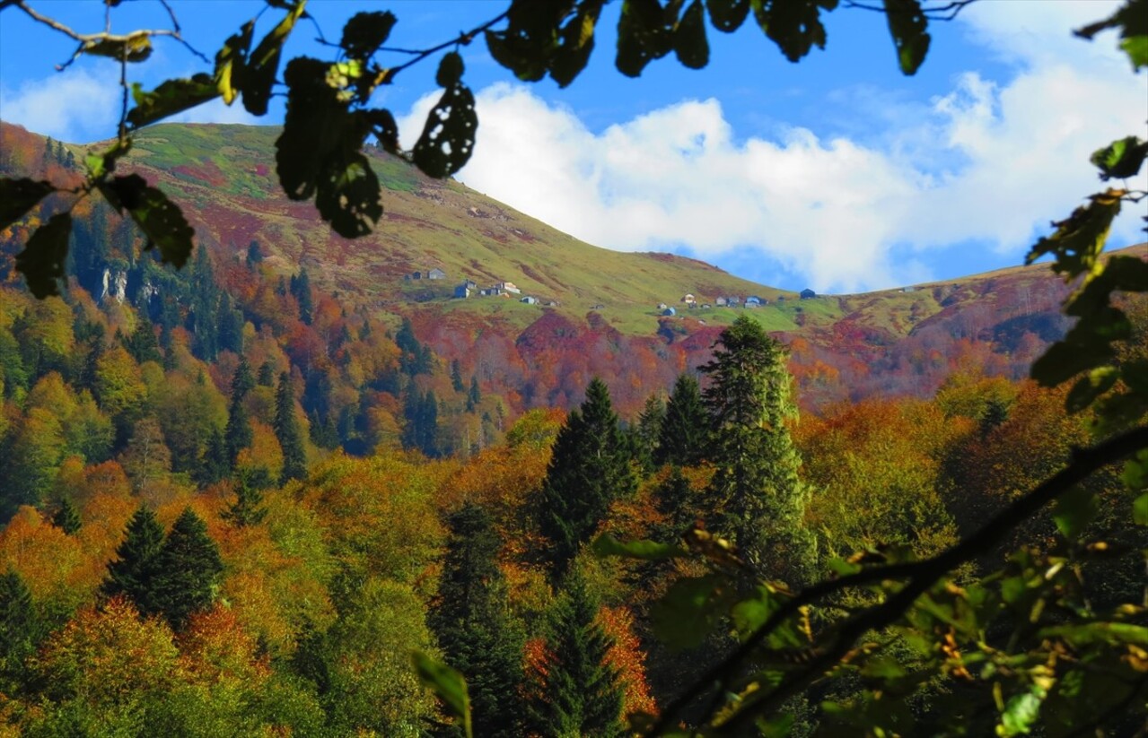 Artvin'de yerli ve yabancı turistlerin en çok ziyaret ettiği yerler arasındaki Borçka Karagöl...