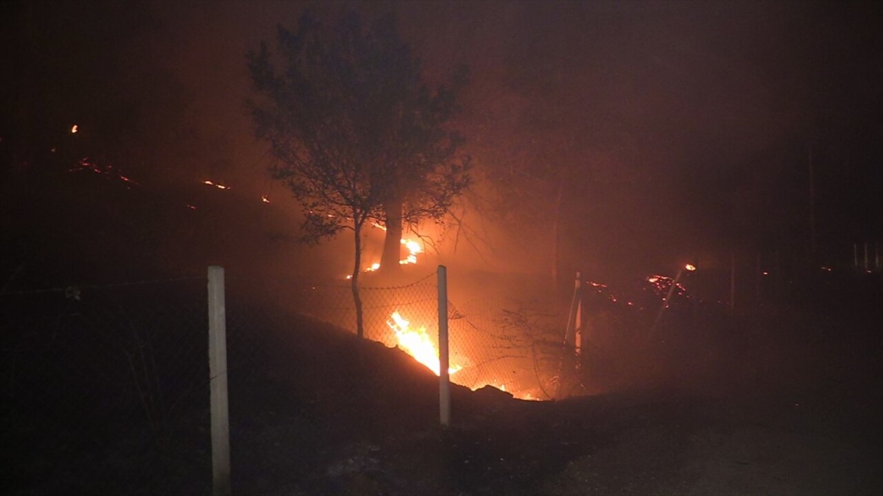 Adana'nın merkez Sarıçam ilçesinde ormanlık alanda çıkan yangın kontrol altına alındı.