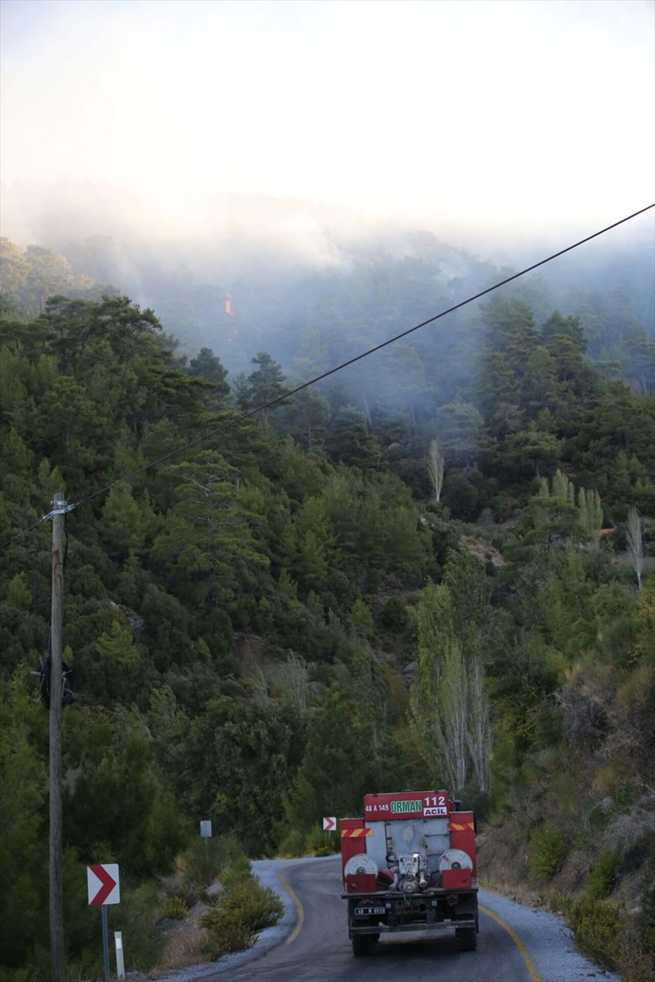 Muğla'nın Dalaman ilçesinde ormanlık alanda çıkan yangına müdahale havadan ve karadan devam...