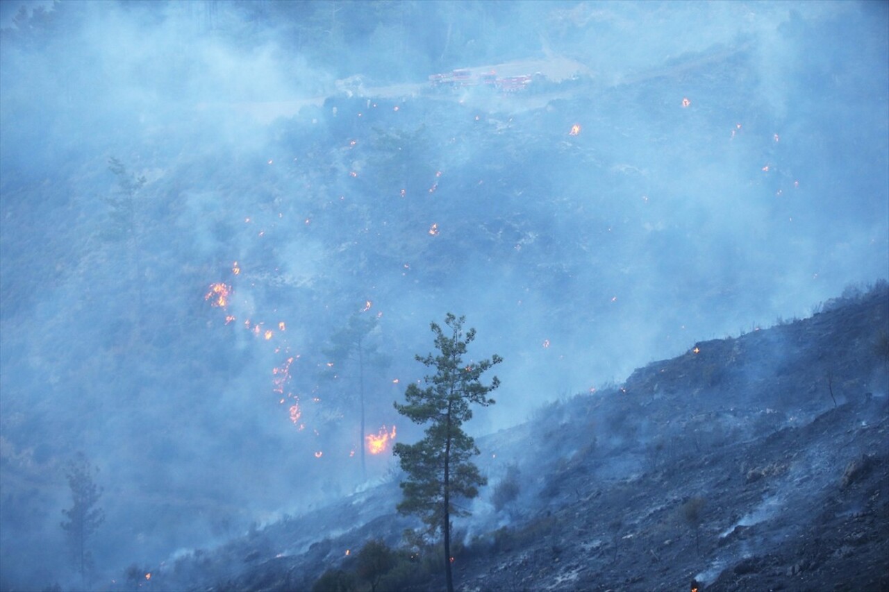 Muğla'nın Dalaman ilçesinde ormanlık alanda çıkan yangına müdahale havadan ve karadan devam...