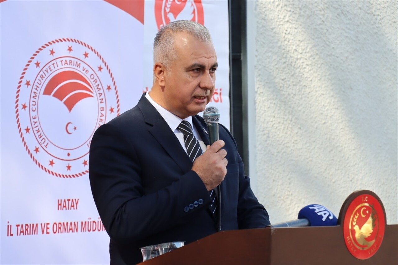 Hatay'da 6 Şubat 2023'teki depremlerden etkilenen damızlık koyun ve keçi yetiştiricisi 116...