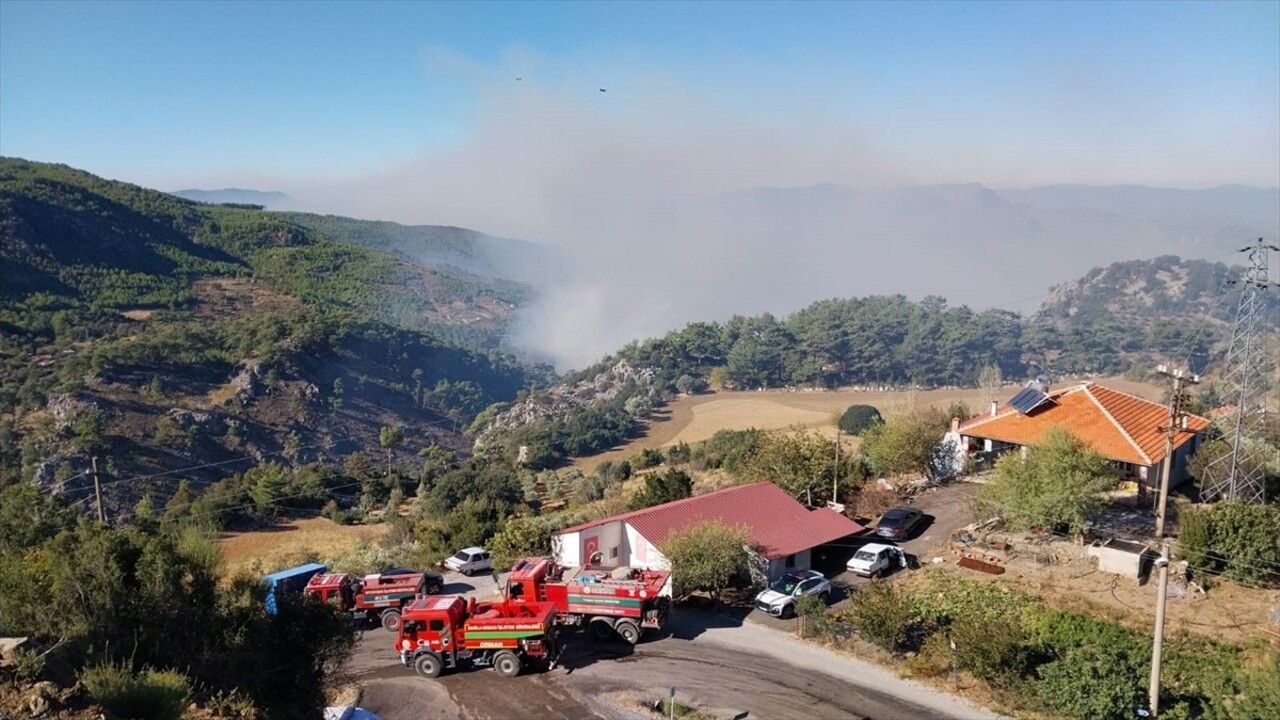 Muğla'nın Dalaman ilçesi Taşbaşı Mahallesi'nde çıkan orman yangınına havadan ve karadan müdahale...