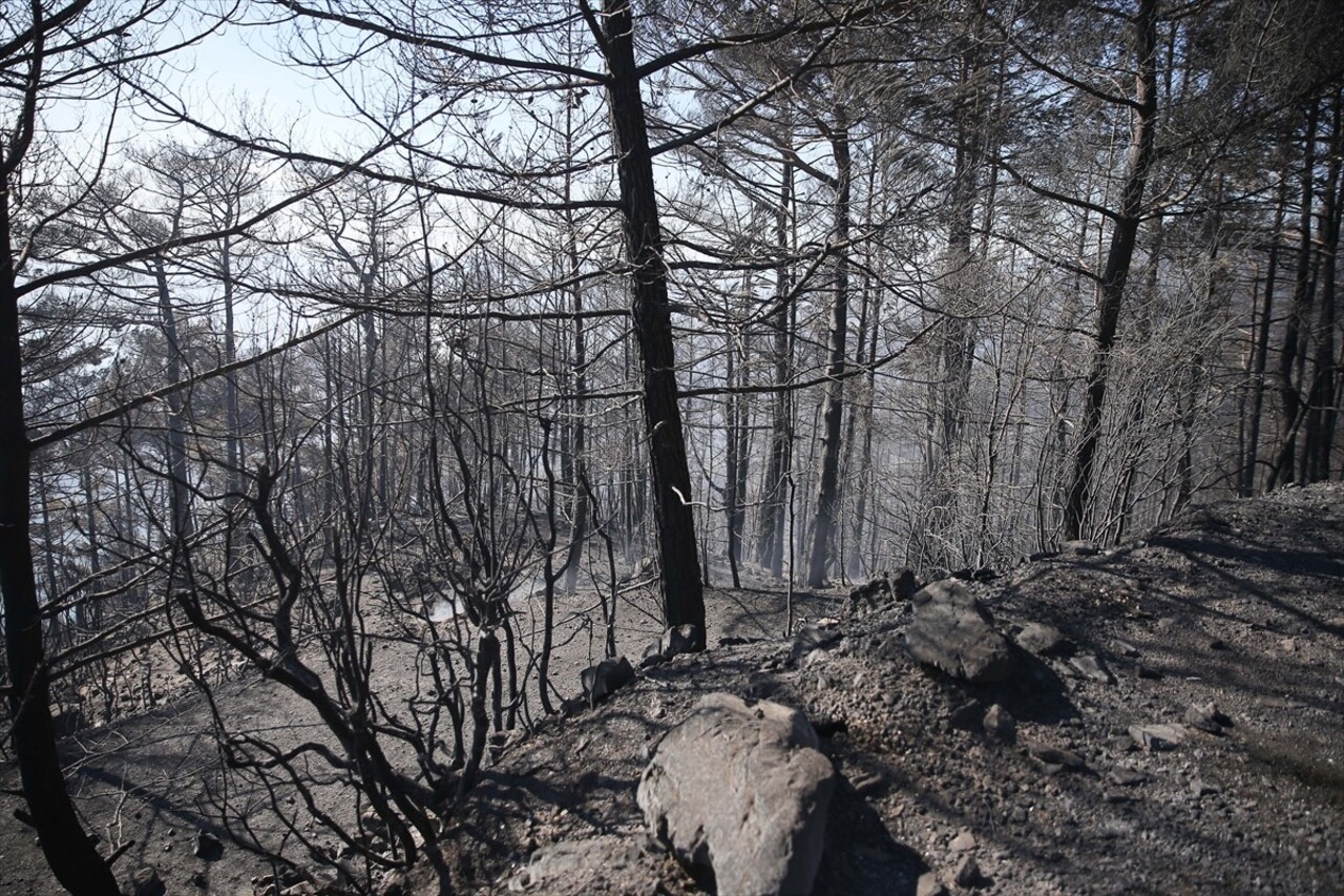 Muğla'nın Dalaman ve Menteşe ilçelerindeki orman yangınlarına havadan ve karadan müdahale sürüyor....