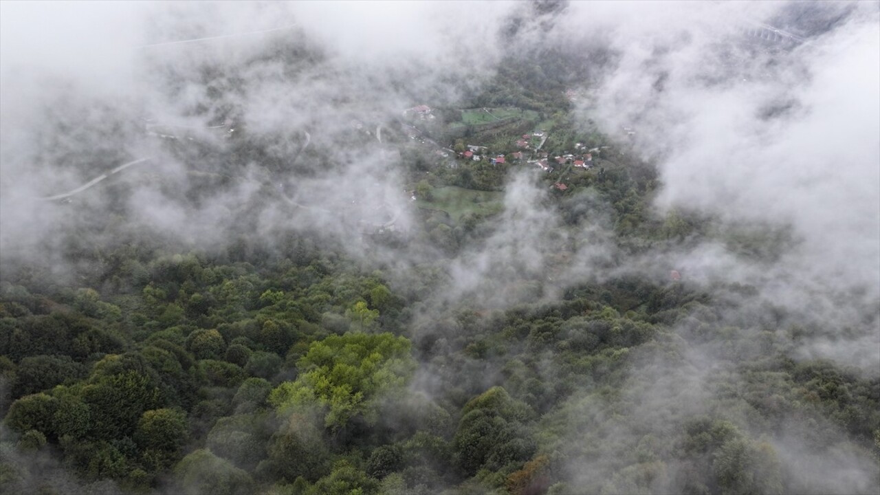 Bolu Dağı'nın Düzce kesiminde sis etkisini gösterdi. Bölgeyi kaplayan sis, havadan...