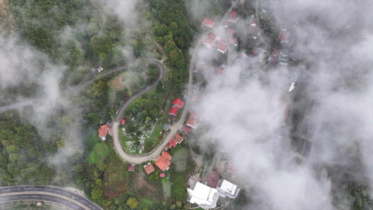 Bolu Dağı'nın Düzce kesiminde sis etkisini gösterdi. Bölgeyi kaplayan sis, havadan...