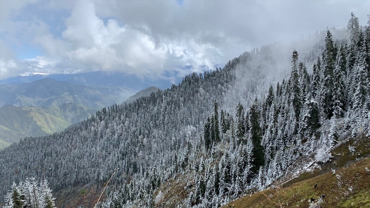 Artvin'de yüksek kesimlerde kar yağışı etkili olmaya devam ediyor. Şavşat'ta Arsiyan, Eskikale ve...