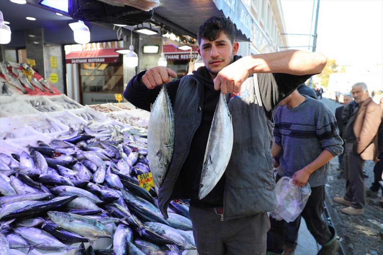 Balık bolluğunun yaşandığı Karadeniz'de başta palamut olmak üzere çinekop, barbun, mezgit...