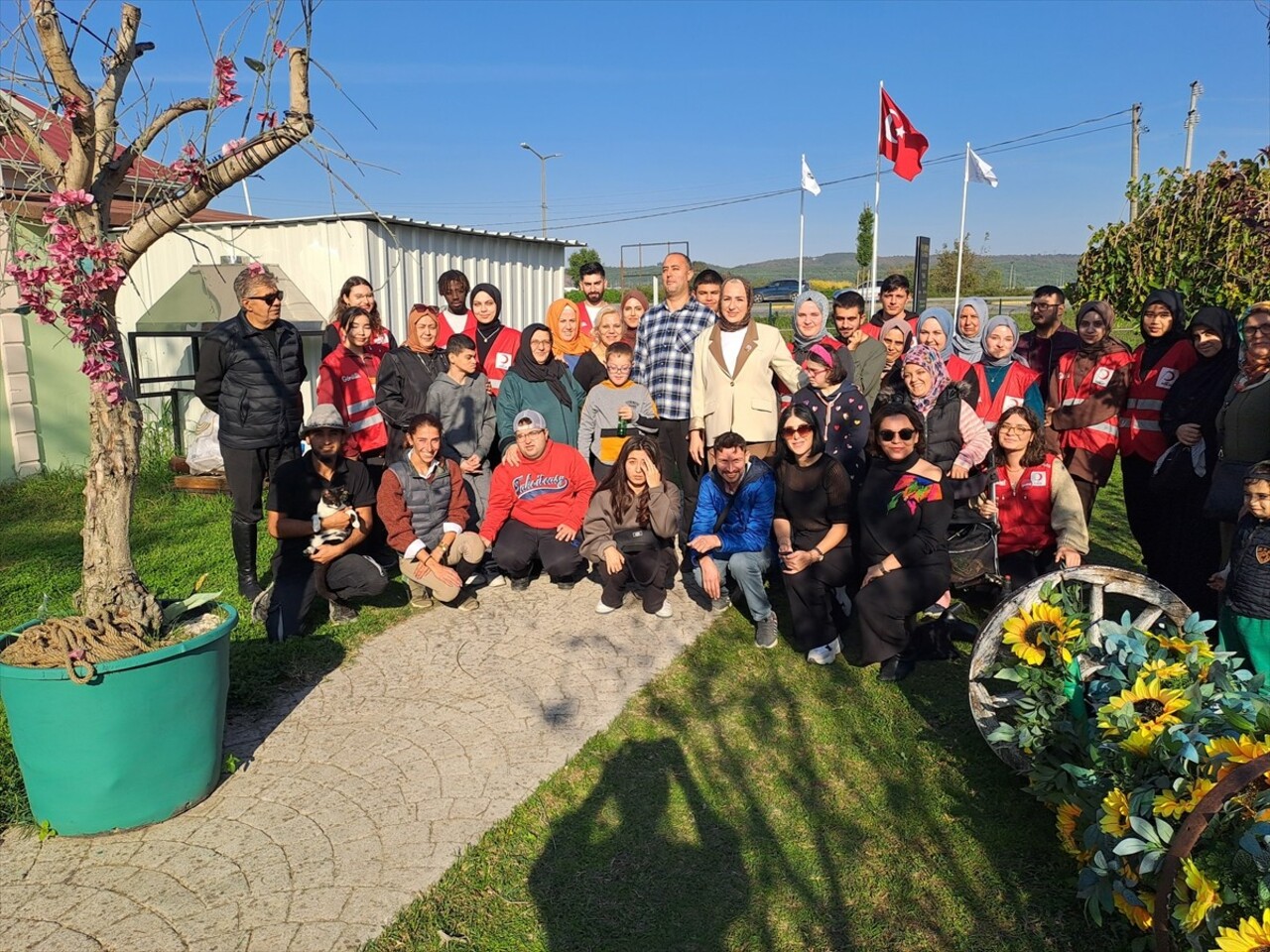 Sakarya'da özel gereksinimli bireylerin psikososyal gelişmeleri ve fiziksel fonksiyonlarının...