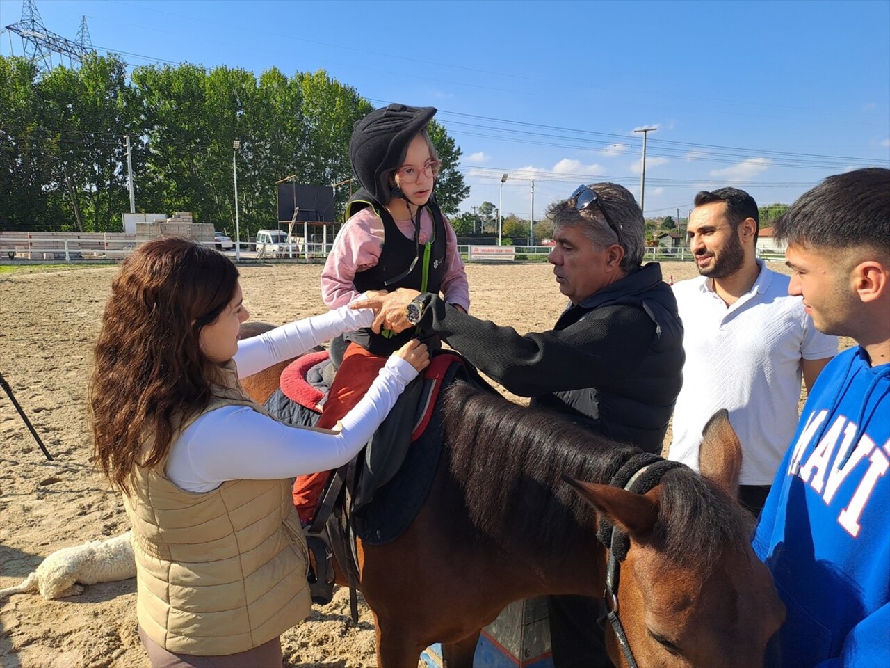 Sakarya'da özel gereksinimli bireylerin psikososyal gelişmeleri ve fiziksel fonksiyonlarının...