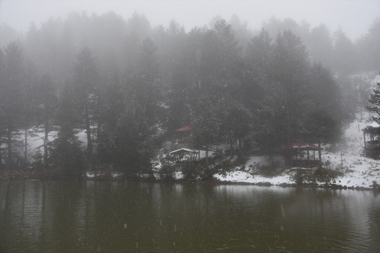 Gümüşhane'nin Torul ilçesindeki turizm merkezlerinden Limni Gölü Tabiat Parkı'nın çevresindeki...