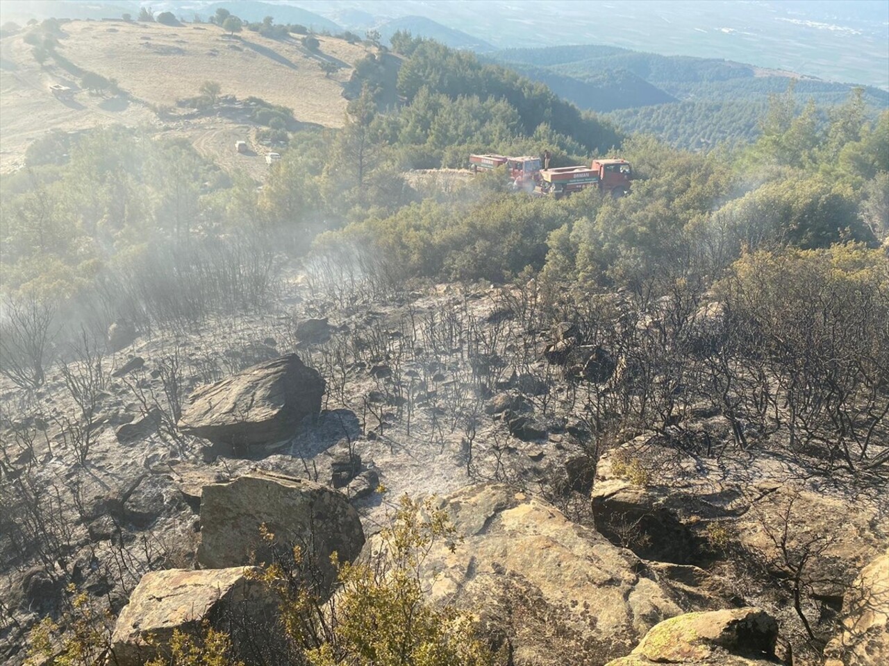 Aydın'ın Nazilli ilçesinde makilik alanda çıkan yangın, ekiplerin havadan ve karadan müdahalesiyle...